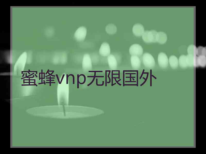 蜜蜂vnp无限国外