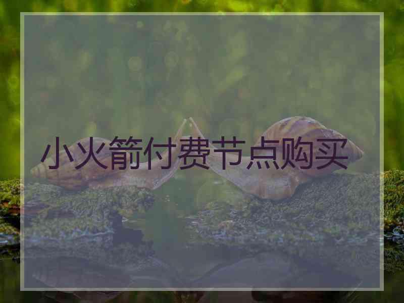 小火箭付费节点购买