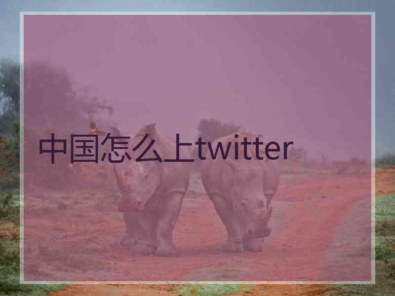 中国怎么上twitter