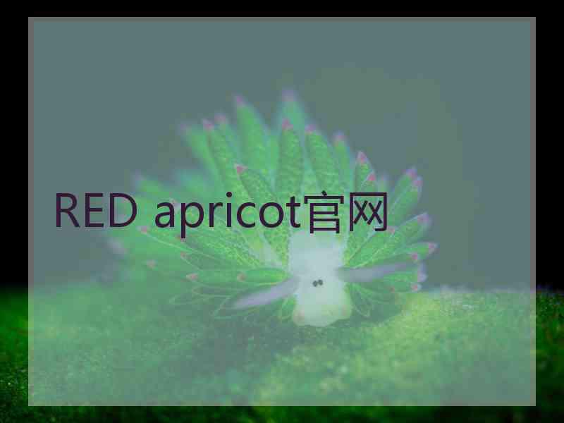 RED apricot官网