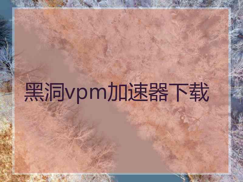 黑洞vpm加速器下载