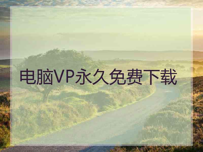 电脑VP永久免费下载