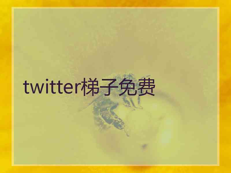 twitter梯子免费