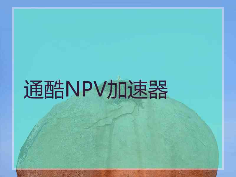 通酷NPV加速器