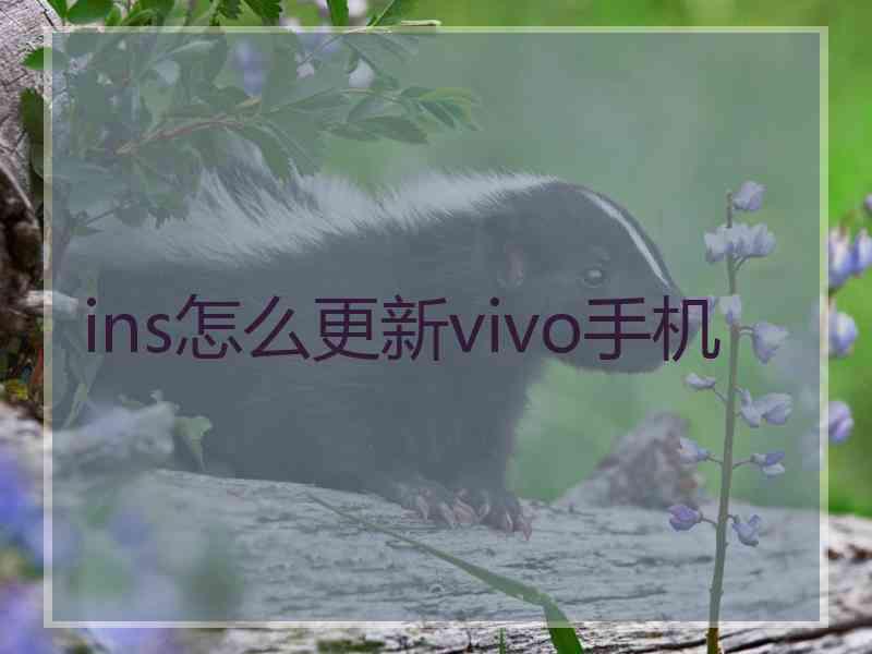 ins怎么更新vivo手机