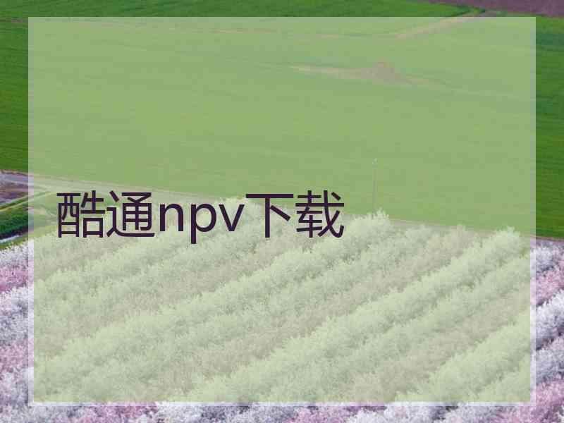 酷通npv下载