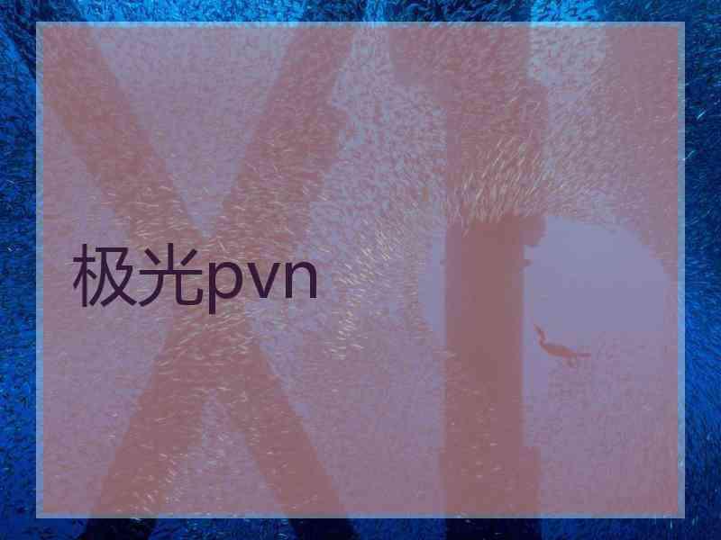 极光pvn