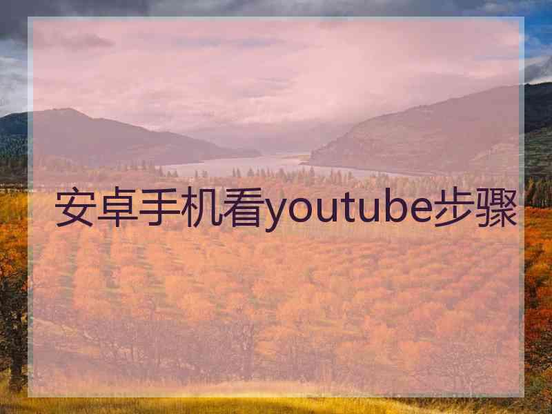 安卓手机看youtube步骤