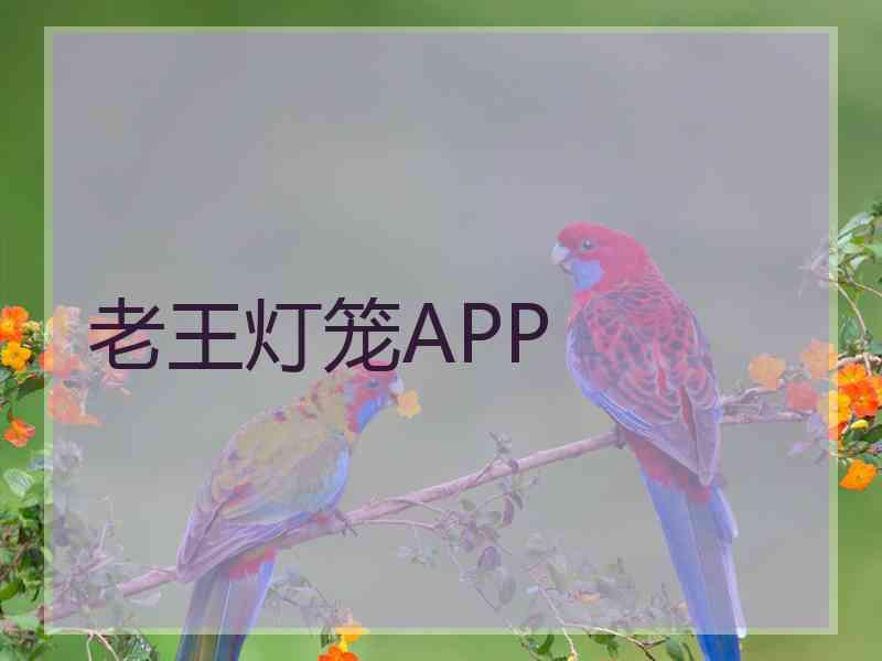 老王灯笼APP