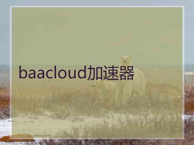 baacloud加速器