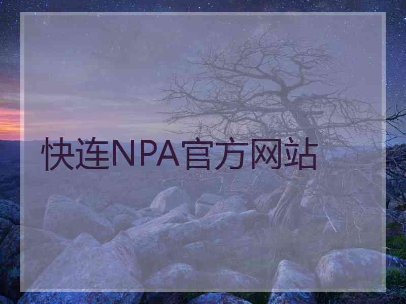 快连NPA官方网站