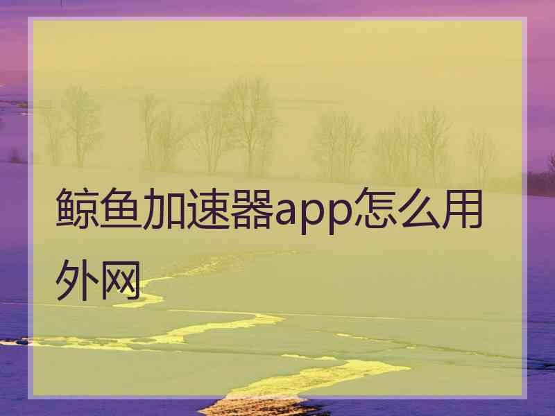 鲸鱼加速器app怎么用外网