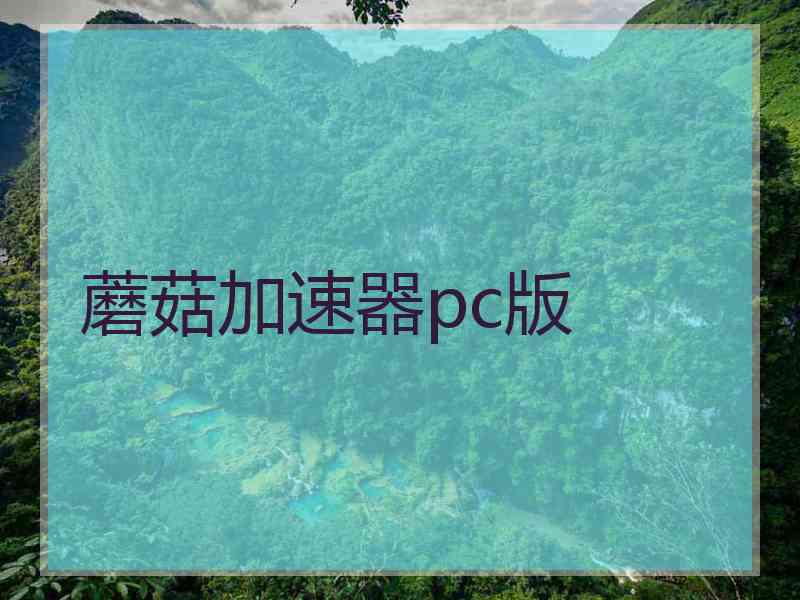 蘑菇加速器pc版