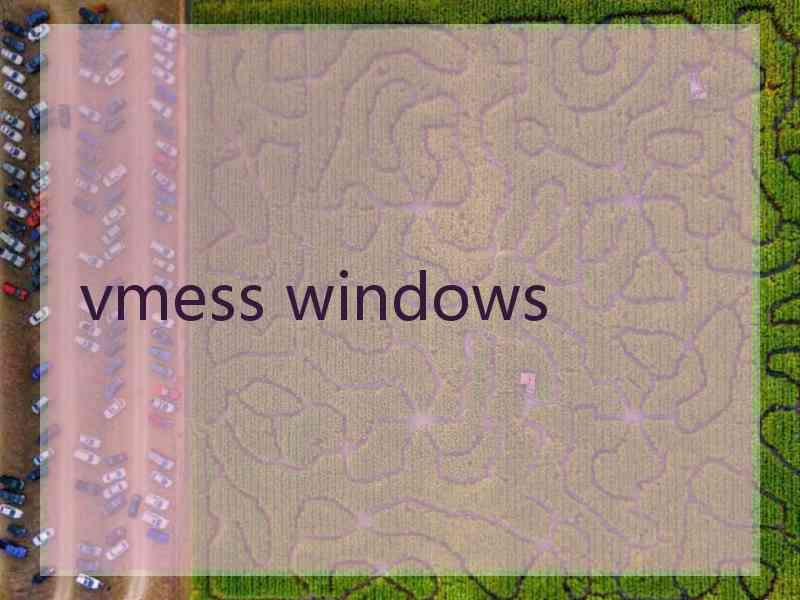 vmess windows