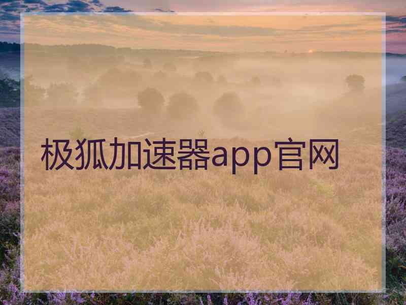 极狐加速器app官网