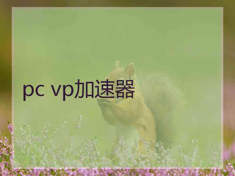 pc vp加速器