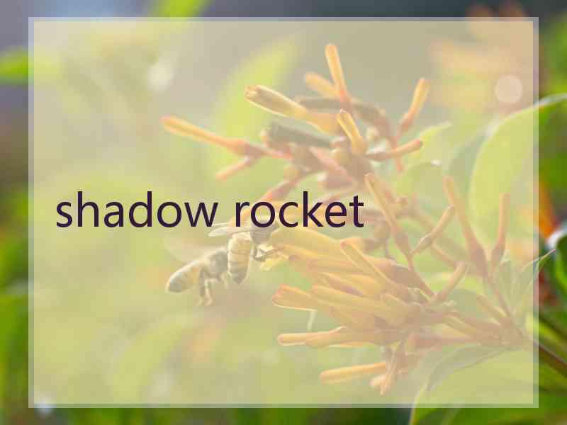 shadow rocket