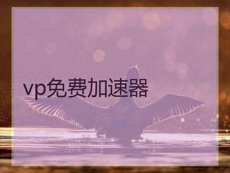 vp免费加速器