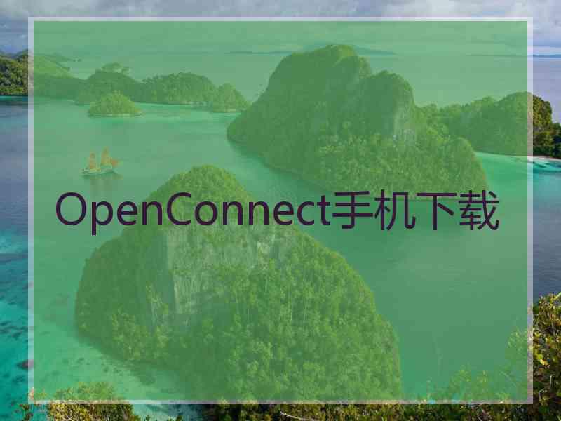 OpenConnect手机下载