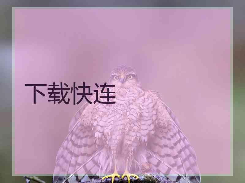 下载快连