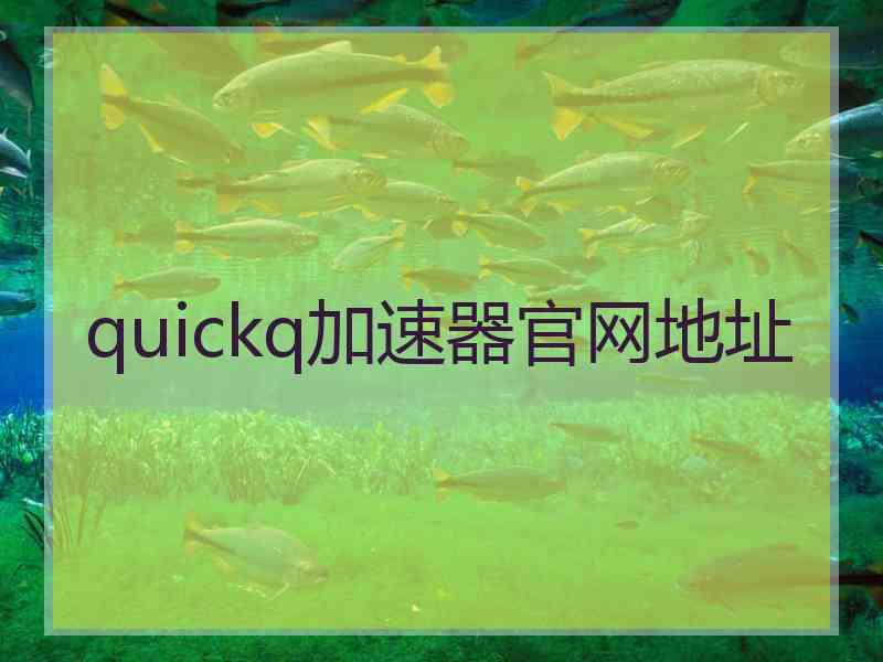 quickq加速器官网地址