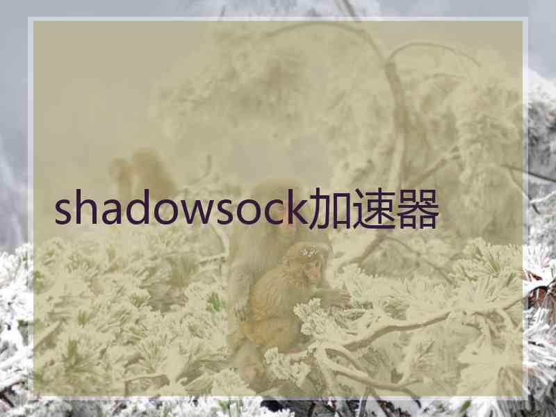 shadowsock加速器