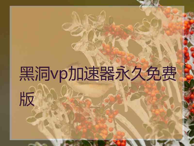 黑洞vp加速器永久免费版