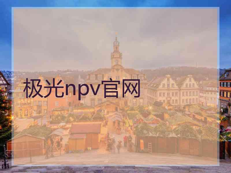 极光npv官网