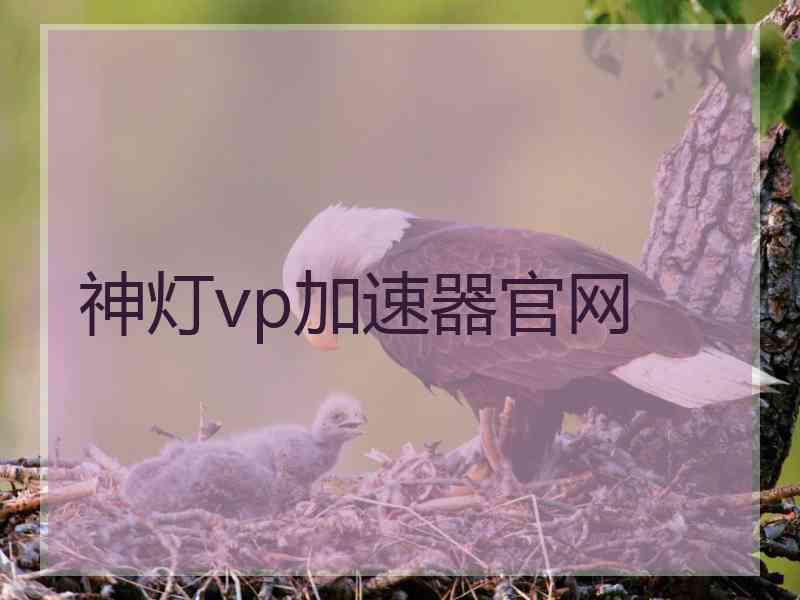 神灯vp加速器官网