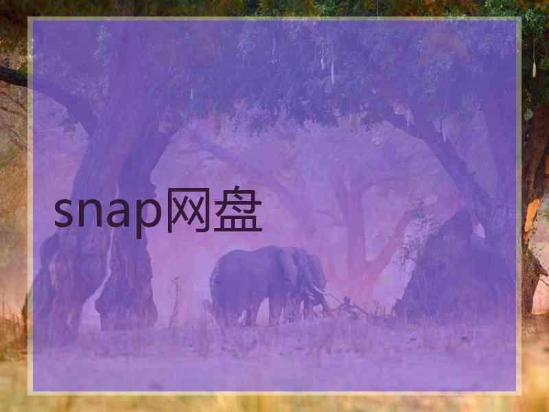 snap网盘