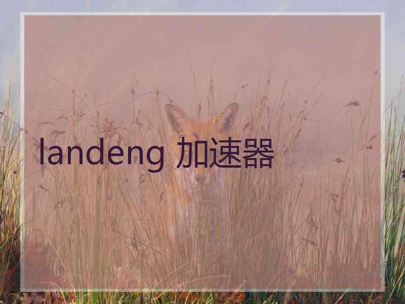 landeng 加速器