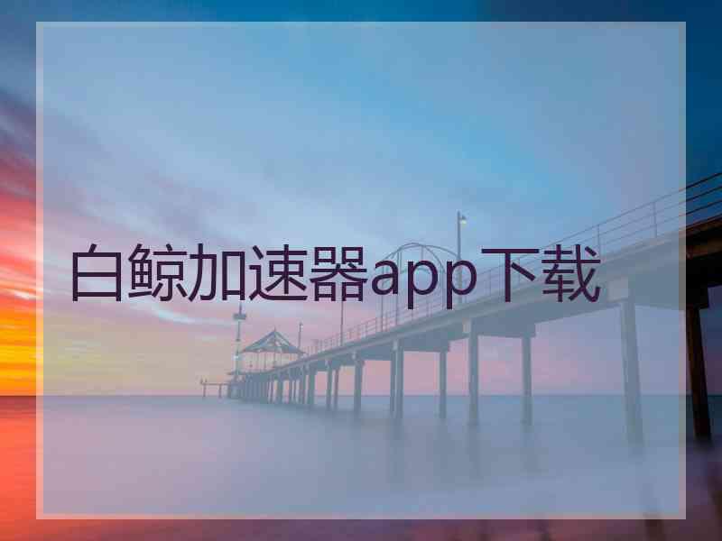 白鲸加速器app下载