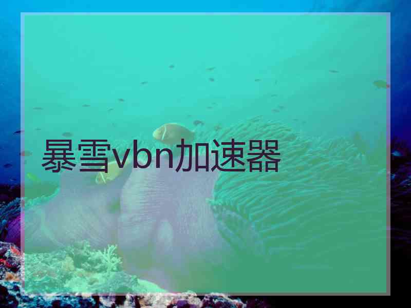 暴雪vbn加速器