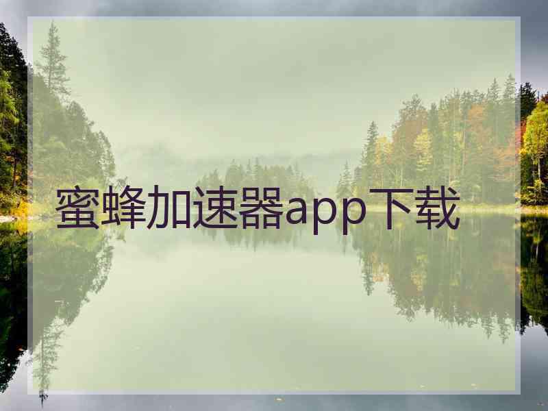 蜜蜂加速器app下载