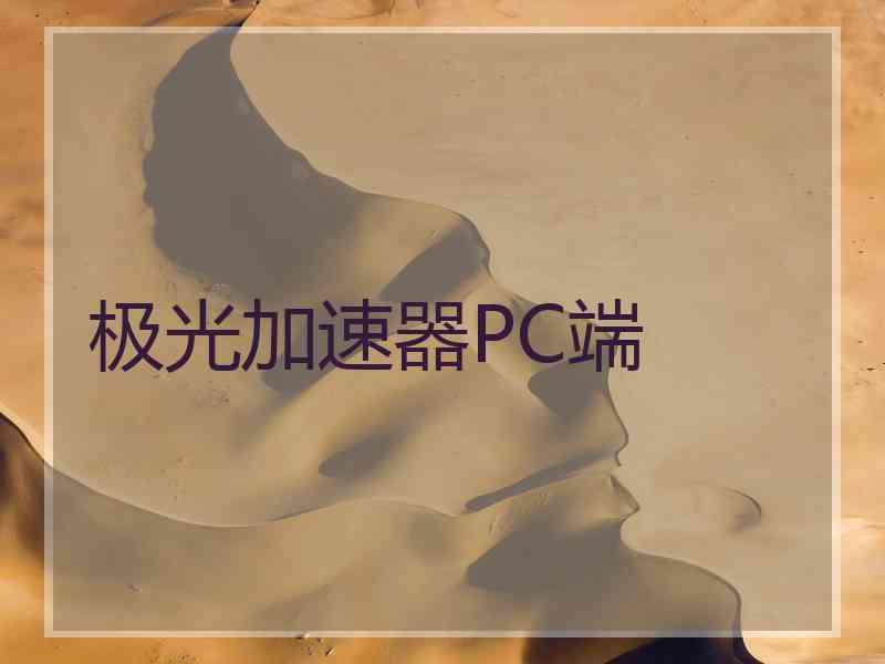 极光加速器PC端