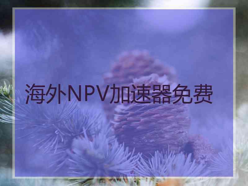 海外NPV加速器免费