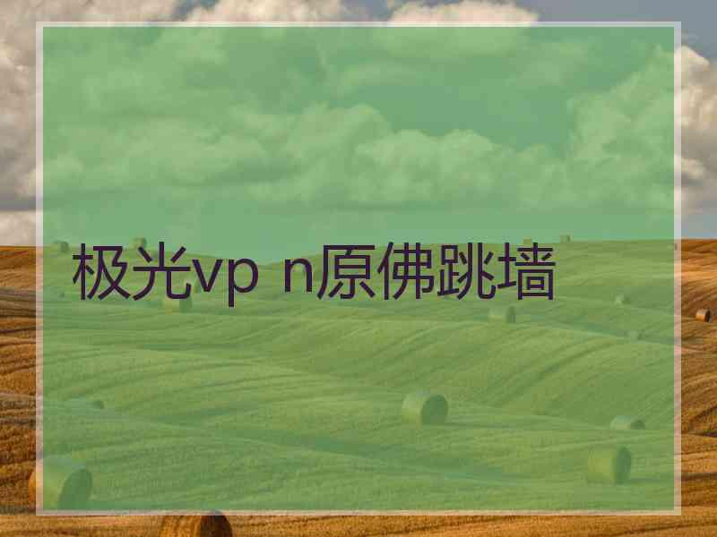 极光vp n原佛跳墙