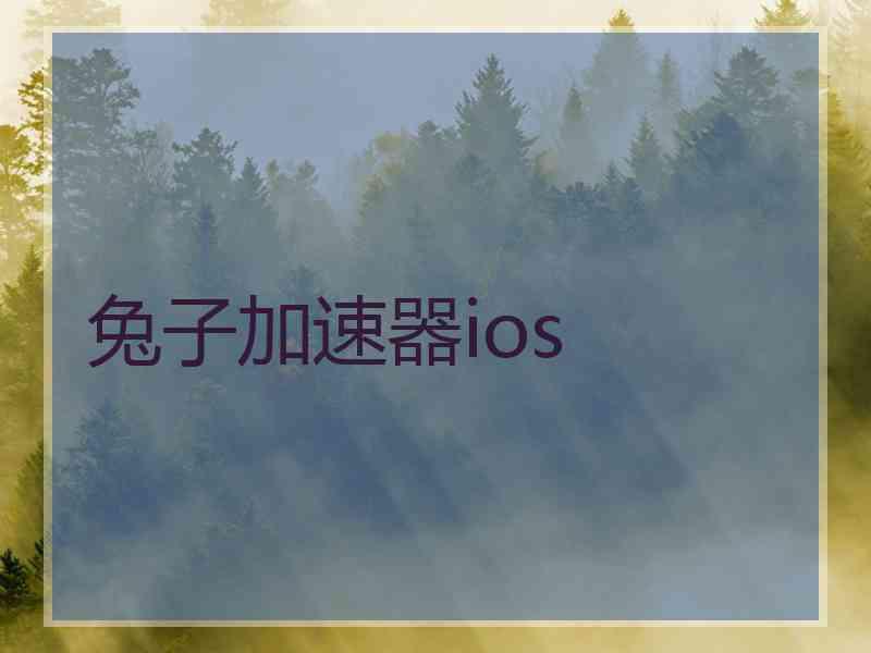 兔子加速器ios