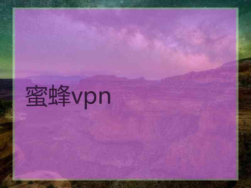 蜜蜂vpn