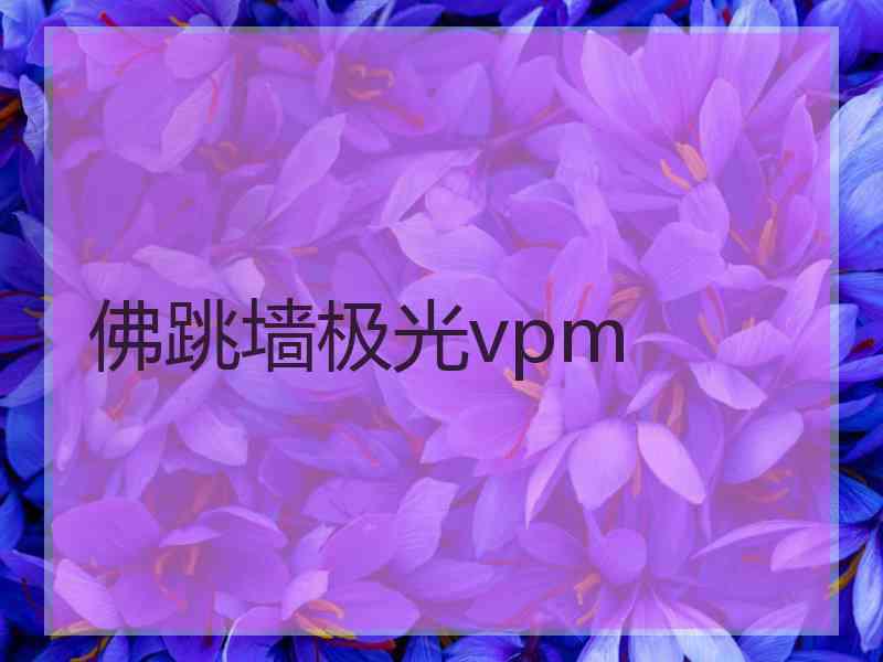 佛跳墙极光vpm