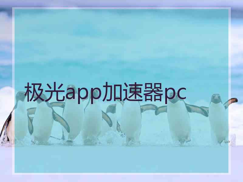 极光app加速器pc