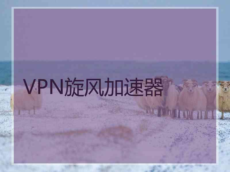 VPN旋风加速器