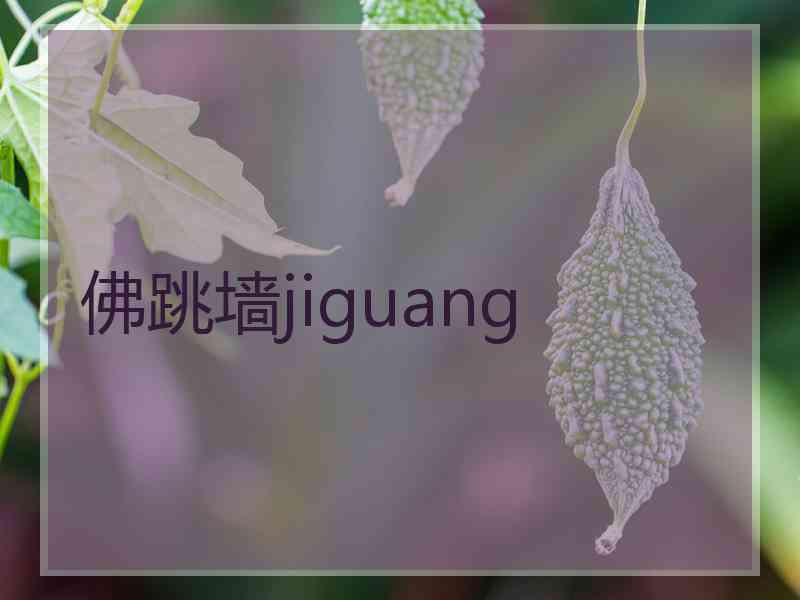 佛跳墙jiguang