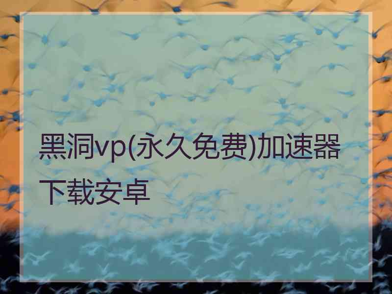 黑洞vp(永久免费)加速器下载安卓