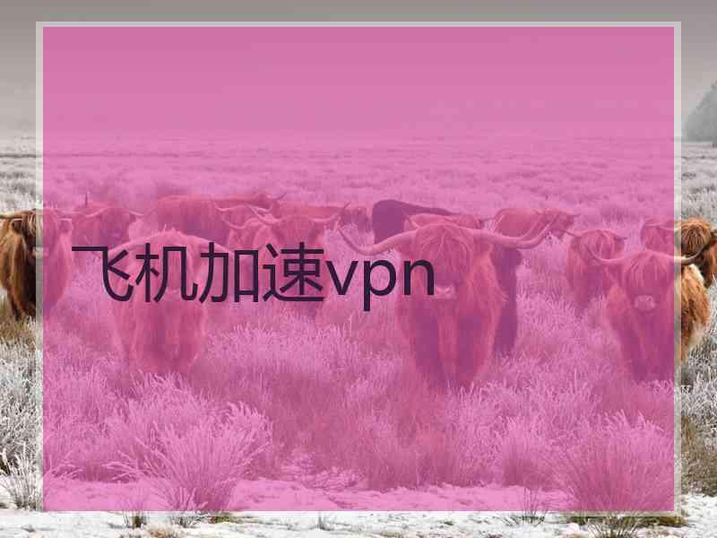 飞机加速vpn