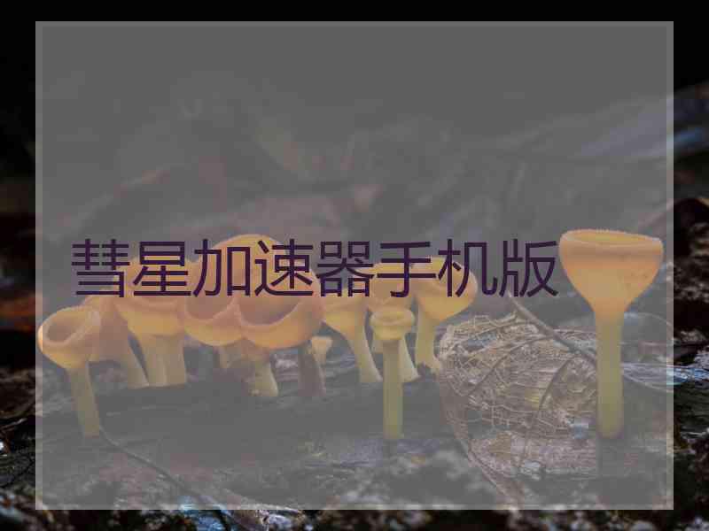 彗星加速器手机版