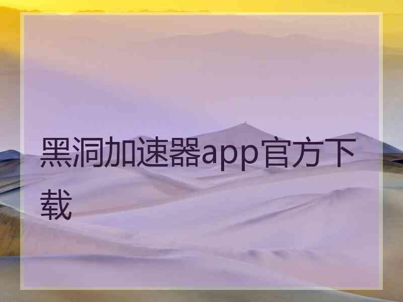 黑洞加速器app官方下载