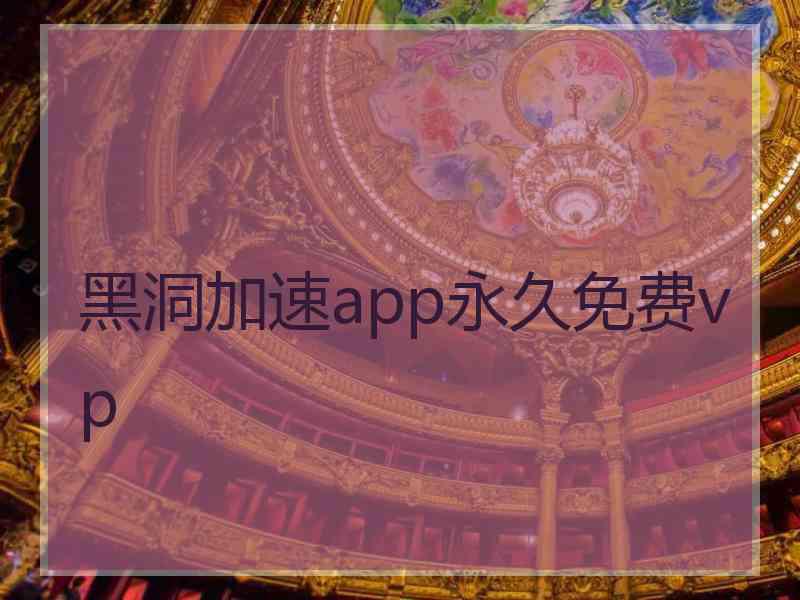 黑洞加速app永久免费vp