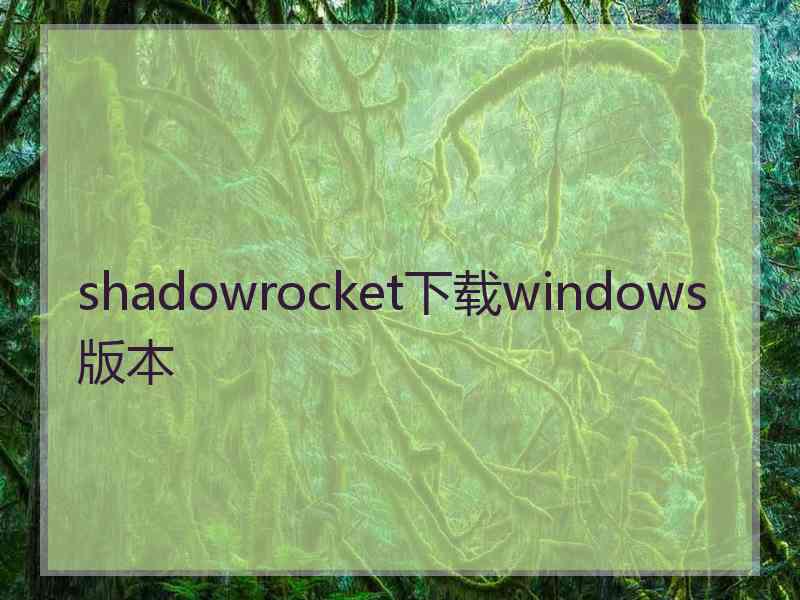 shadowrocket下载windows版本