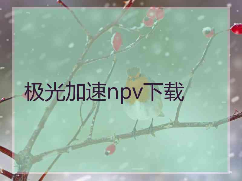 极光加速npv下载